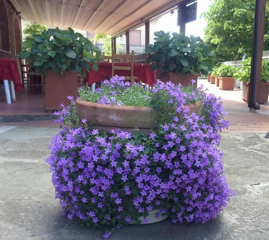 Albergo Di Murlo Hotel